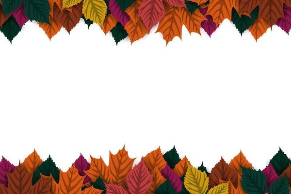 Autumn background with colorful autumn leaves