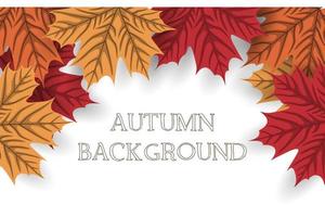 Autumn background with autumn leaves vector