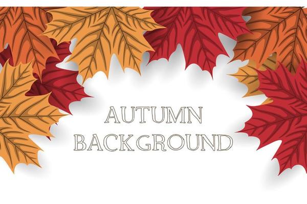 Autumn background with autumn leaves