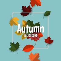 Autumn background with colorful autumn leaves vector