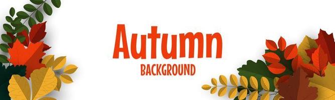 Autumn banner background with autumn leaves vector