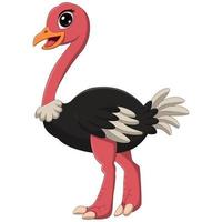 Cartoon cute little ostrich standing vector