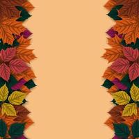 Autumn background with autumn leaves vector