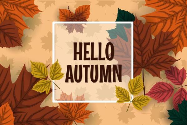 Autumn background with autumn leaves