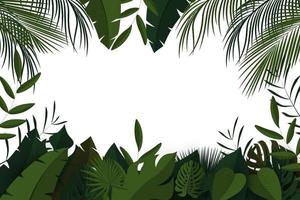 Tropical background with jungle plants vector