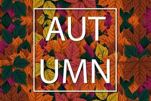 Autumn background with colorful autumn leaves vector