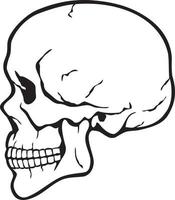 Human skull profile black white vector illustration