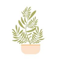 Palm tree in a pot. Flat vector isolated illustration of houseplant