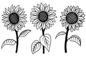 Set of Sun Flower isolated Decorative Beautiful Hand Drawn illustration vector