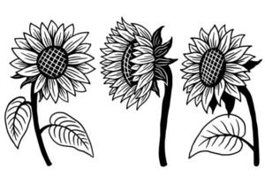 Set of Sun Flower isolated Decorative Beautiful Hand Drawn illustration vector