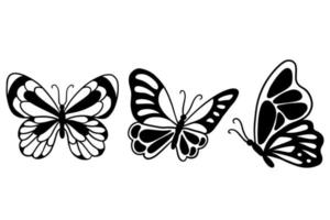 Set of Collection pretty Butterfly butterflies Animal Hand Drawn illustration vector