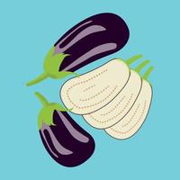 Isolated purple Eggplants and sliced eggplants on blue background vector