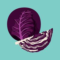 Head of a Purple Cabbage and a quarter of a purple cabbage vector