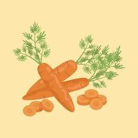 Orange carrots with haulm set. Sliced carrot. vector