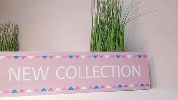 Close-up of a new pink collection plate on a shelf with green flowers on a light wall background with copy space. A new collection of women's clothing. photo