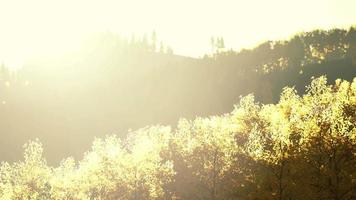 vallei met herfstbomen tussen de bergen verlicht door de zon bij zonsondergang video