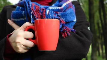 A red cup of coffee and a book with a blue checkered woolen blanket or plaid in the hands of a woman wearing a sweater and a black coat in the park. Warm and sunny weather. Soft cozy photography photo