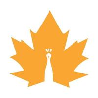 maple leaf with peacock logo symbol vector icon illustration graphic design