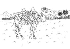 Camel for coloring page vector