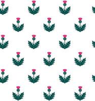 Thistle seamless pattern on white background Scottish symbol vector