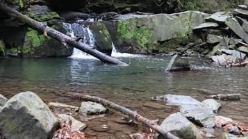 Landscape of a mountain river in the forest in early autumn and late summer. water in a natural stream. beautiful and relaxing forest with a river. River deep in mountain forest. Nature composition. photo