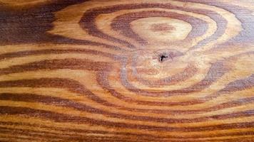 Walnut wood texture. Dark wood texture background surface with old natural pattern. photo