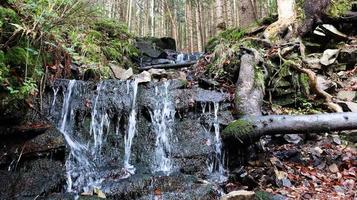 Waterfalls in a small canyon with stone walls. Beautiful cascade in the mountains. river in the Carpathians in the mountain autumn forest. scenic view, the movement of water. photo