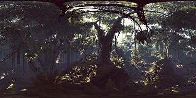 vr360 jungles tropicales profondes d'asie video