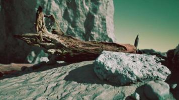 Hyperlapse of deserted beach and rocky cliff video
