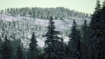 beautiful winter landscape in the mountains video