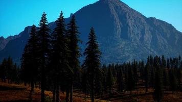 Rocky mountain range with trees