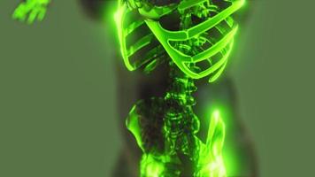 transparenter menschlicher Körper mit sichtbaren Skelettknochen video