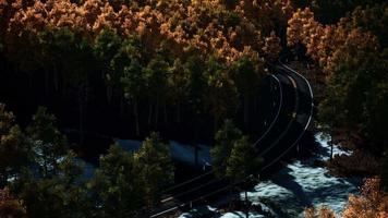 antenne over een kronkelende bosweg in finland tijdens zonsondergang video