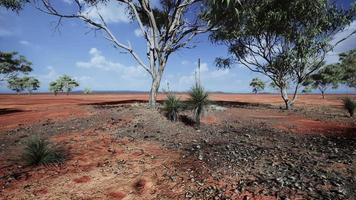 beau paysage avec arbre en afrique video