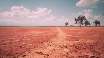 sol fissuré terre sèche pendant la saison sèche video