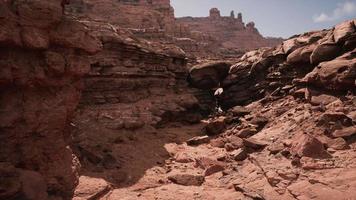 grand canyon nationalpark röda stenar video