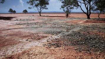 terre aride sans eau video