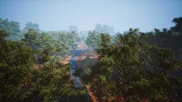 road in aerial view with green plants and trees around video