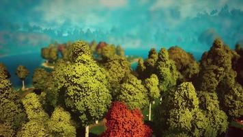 paysage de forêt verte de dessin animé avec arbres et lac video