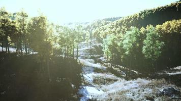 Summer landscape in the mountains video