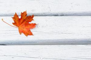 Fall maple leaf on white wooden background photo