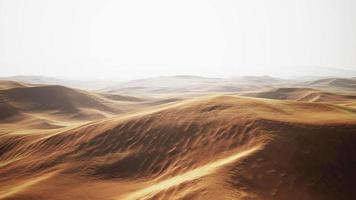 beau coucher de soleil sur les dunes de sable du désert du sahara au maroc video