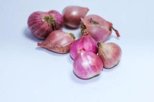 Red onion isolated on white background photo