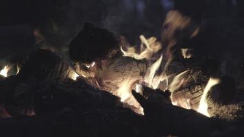 bonfire with sparks in the forest campsite at night. video