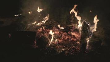 fogueira com faíscas no acampamento da floresta à noite. video