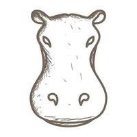 animal lines vintage head hippo logo vector symbol icon design graphic illustration