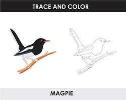 Trace the line and color the picture vector