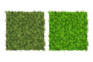 Green grass background Two examples of grass texture for pattern vector
