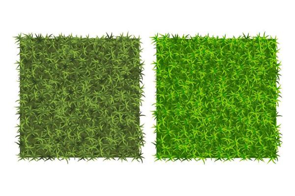 Green grass background Two examples of grass texture for pattern