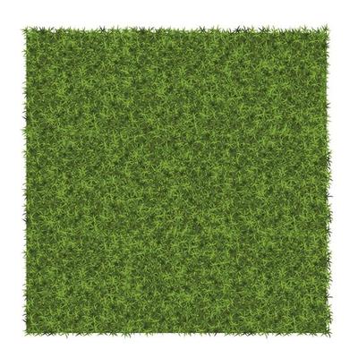 Green grass background Example of grass texture for pattern